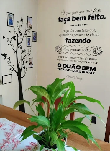 Cuidadores da ILPI Alegria de Viver