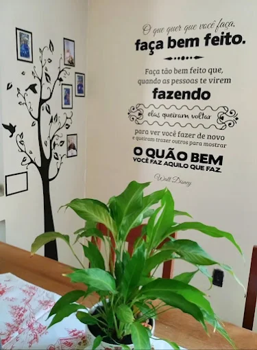 Coordenação da ILPI Alegria de Viver